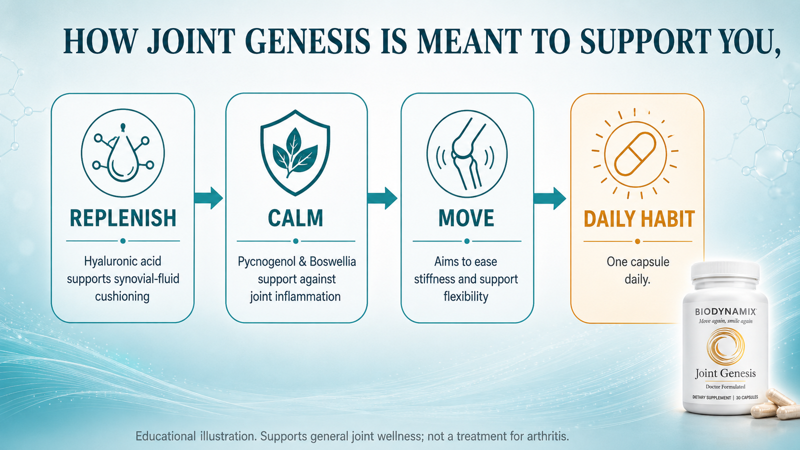 How Joint Genesis is meant to support you — replenishing hyaluronan in synovial fluid and adding anti-inflammatory botanicals, taken once daily
