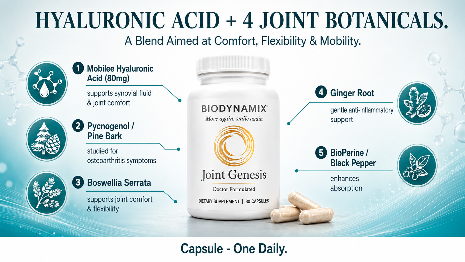 Joint Genesis ingredients breakdown — Mobilee hyaluronic acid, Pycnogenol, ginger root, Boswellia serrata and BioPerine