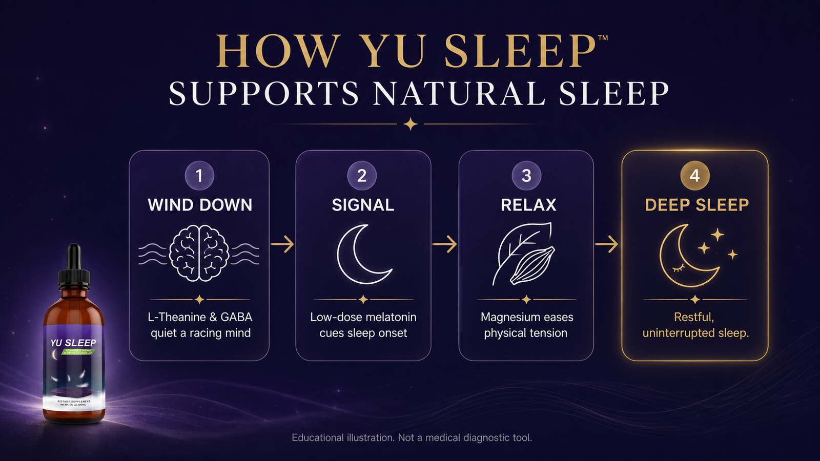 How Yu Sleep works diagram — wind down with L-theanine and GABA, melatonin signals sleep onset, magnesium relaxes the body, leading to deep restful sleep