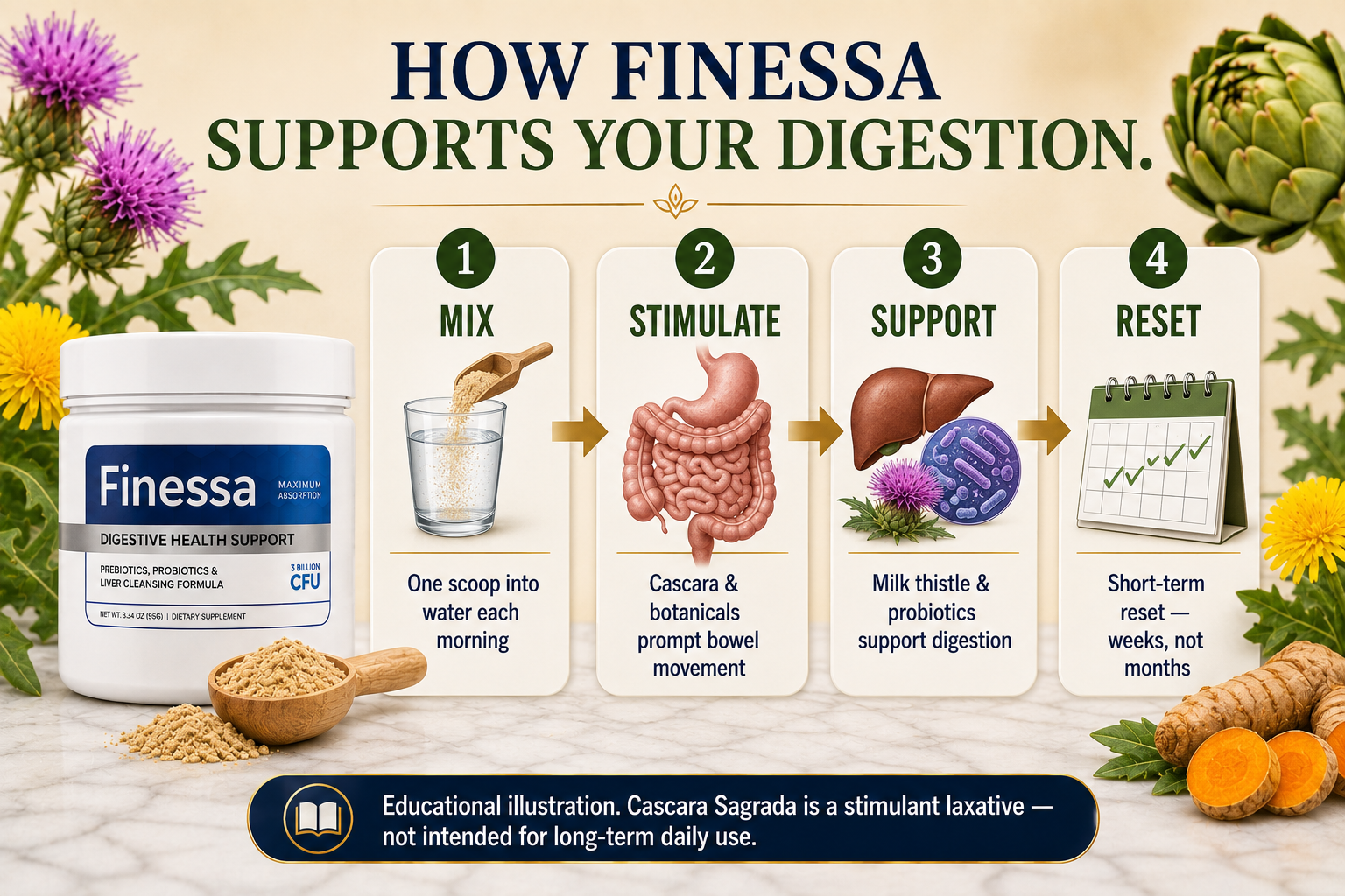 How Finessa works — 4-step digestive reset process with short-term-use note